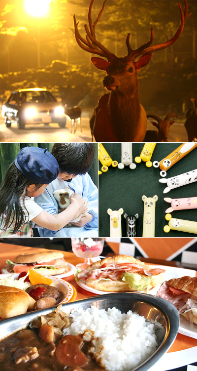 サファリパークで楽しい一日を！